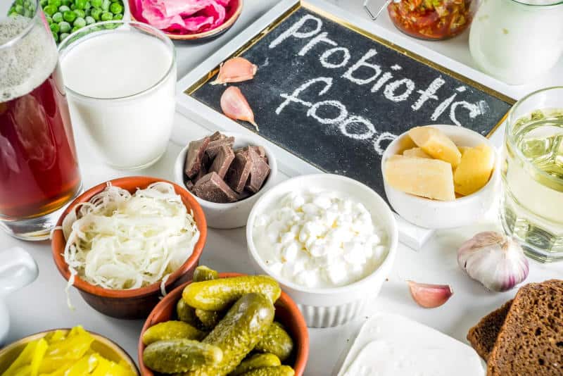 Vai trò của probiotic trong việc duy trì hệ tiêu hóa khỏe mạnh